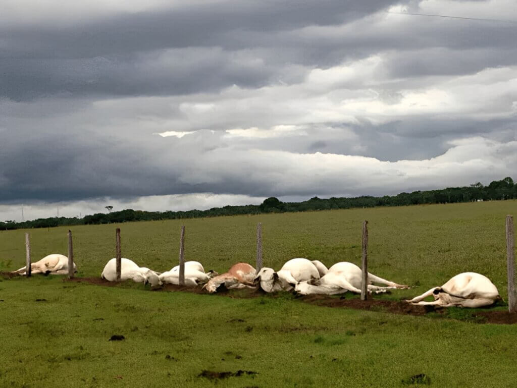 SPDA: Sistema de Proteção Contra Descargas Atmosféricas – Guia Completo